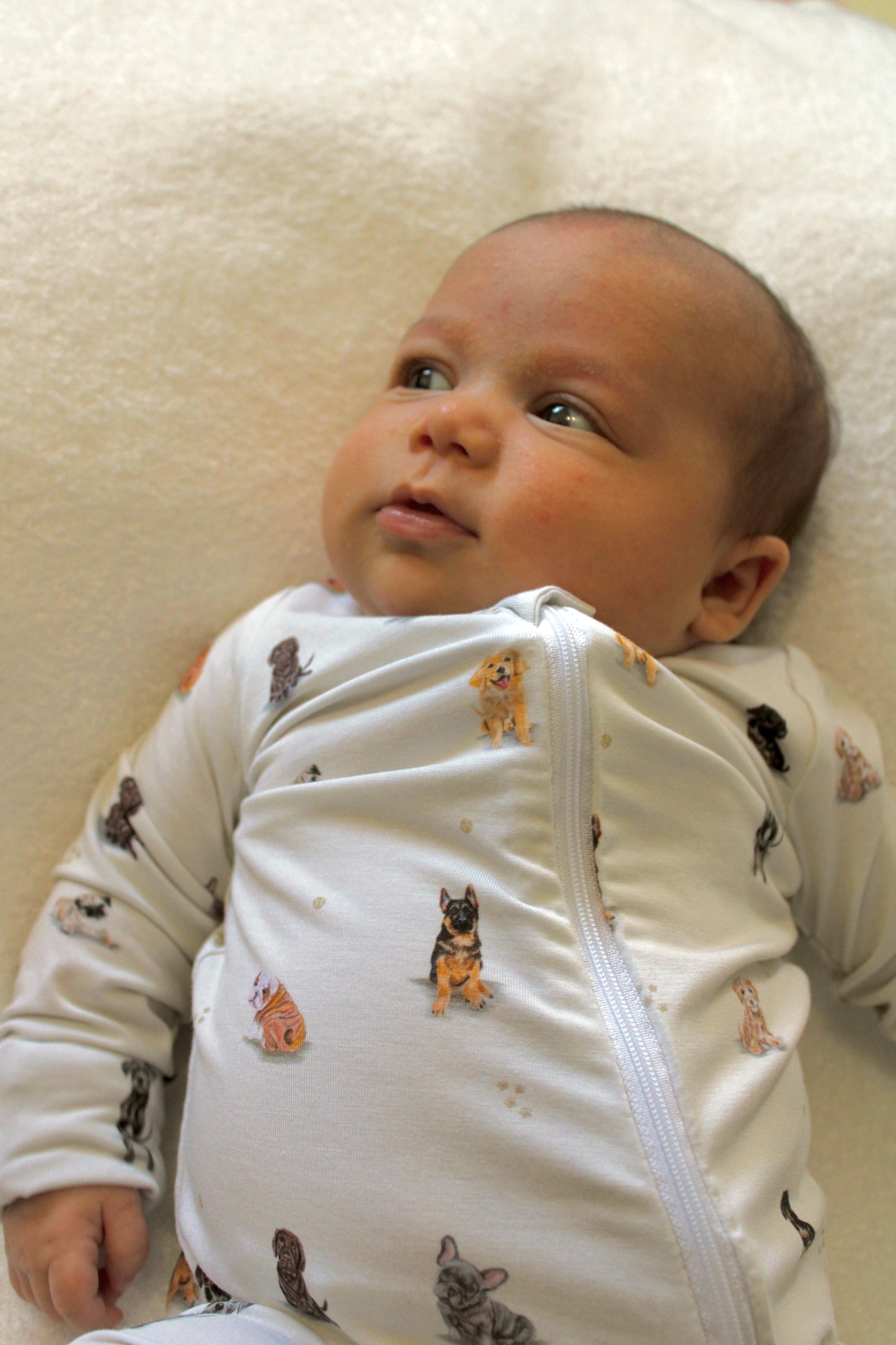 Bamboo Zippered Romper in Puppy Print